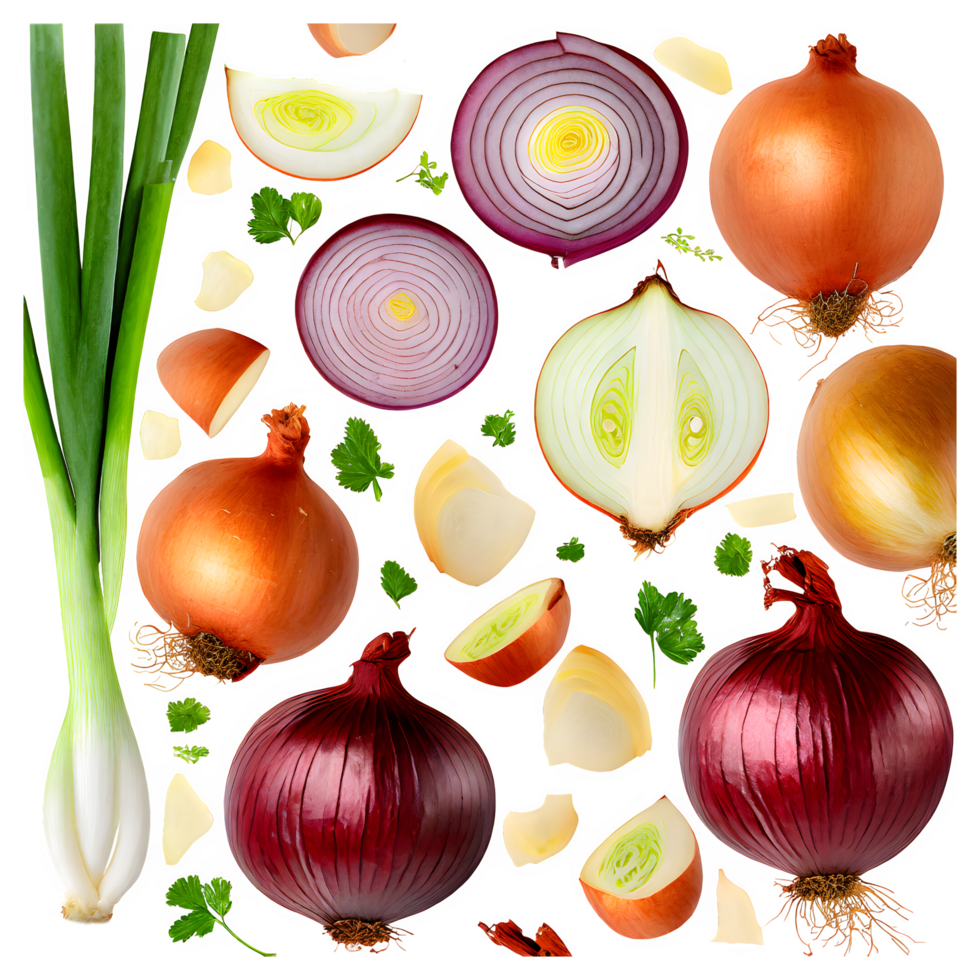 Set fresh onion and sliced png on isolated transparent background