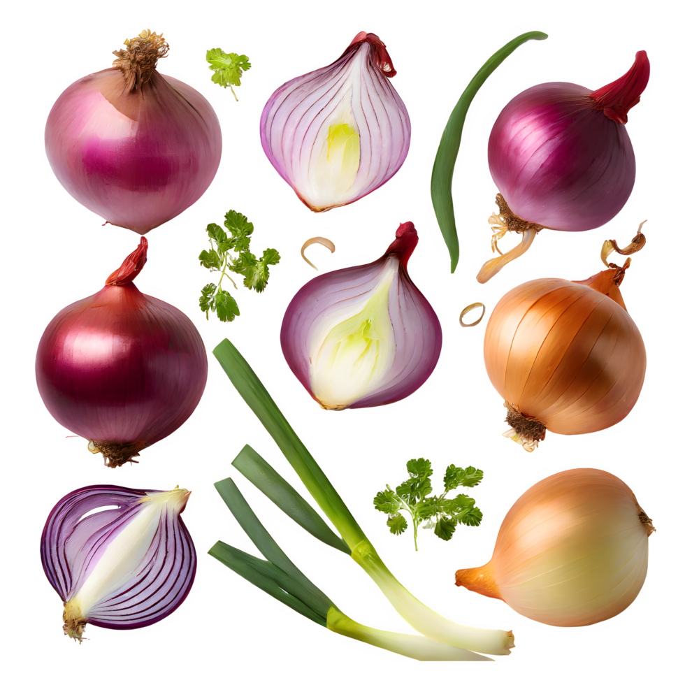 Set fresh onion and sliced png on isolated transparent background