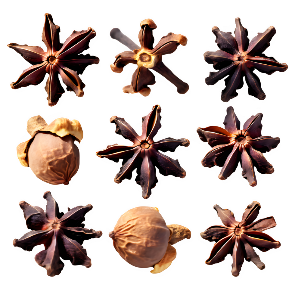 Set dried cloves png on isolated transparent background