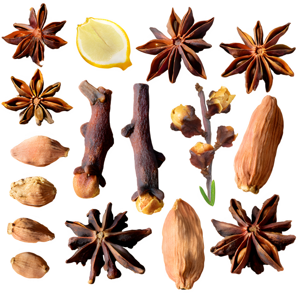 Set dried cloves png on isolated transparent background
