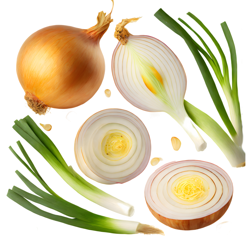 Set fresh onion and sliced png on isolated transparent background