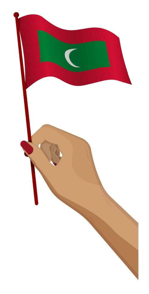 Female hand gently holds small Maldives flag. Holiday design element. Cartoon vector on white background