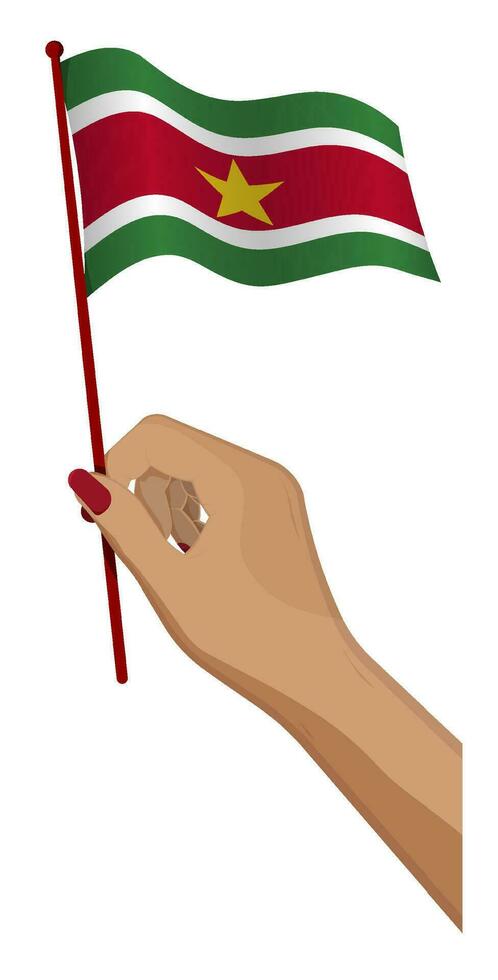 hembra mano suavemente sostiene pequeño Surinam bandera. fiesta diseño elemento. dibujos animados vector en blanco antecedentes