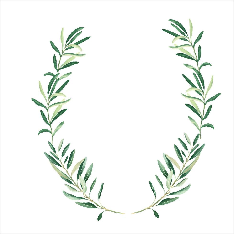 Watercolor oval olive wreath. Hand drawn botanical illustration. For cards, logos and cosmetic design. vector