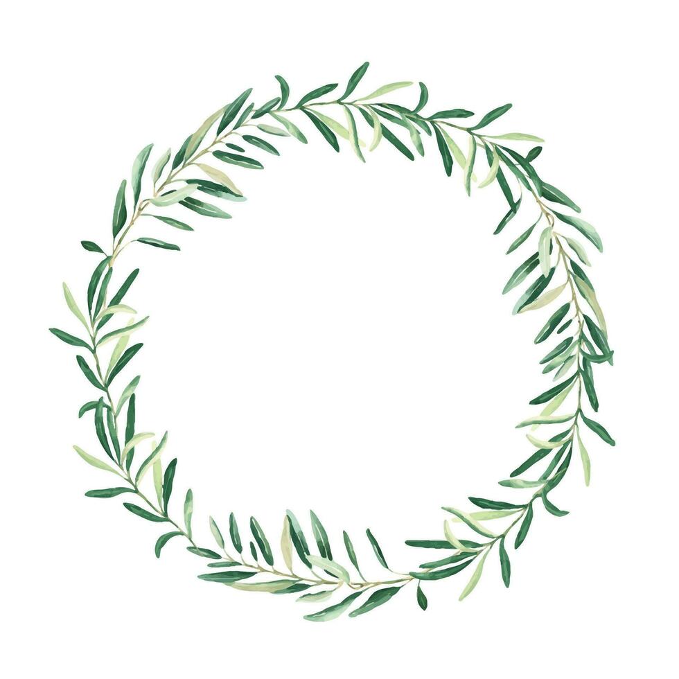 Watercolor olive wreath. Hand drawn botanical illustration. Can be used for cards, logos and food design. vector