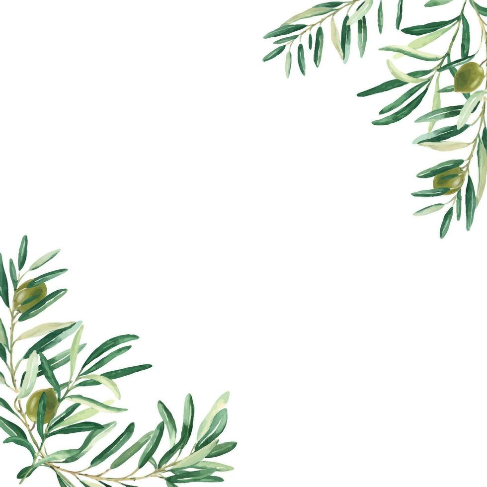 Olive tree square frame, border. Green olives and branches corners. Hand drawn watercolor botanical illustration. Can be used for cards, logos and food design. vector