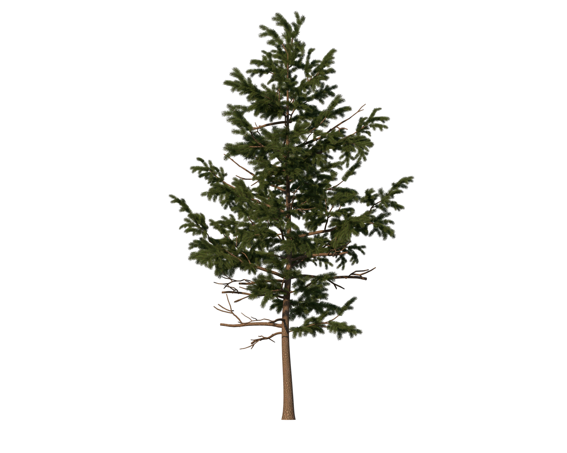 High quality tree transparent image 34334472 PNG