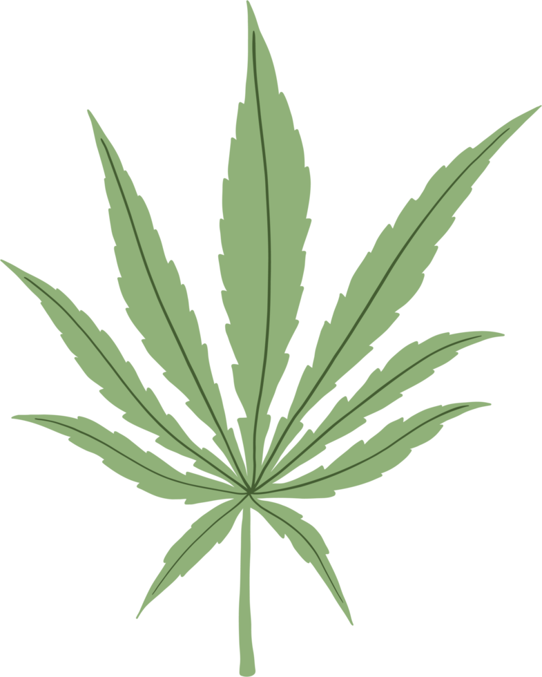 Simplicity cannabis leaf freehand drawing png