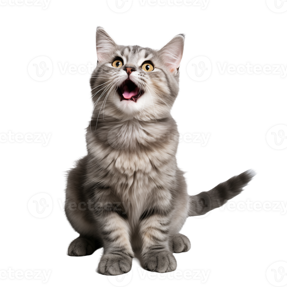 Cute playful and adroable cat transparent background AI Generative png
