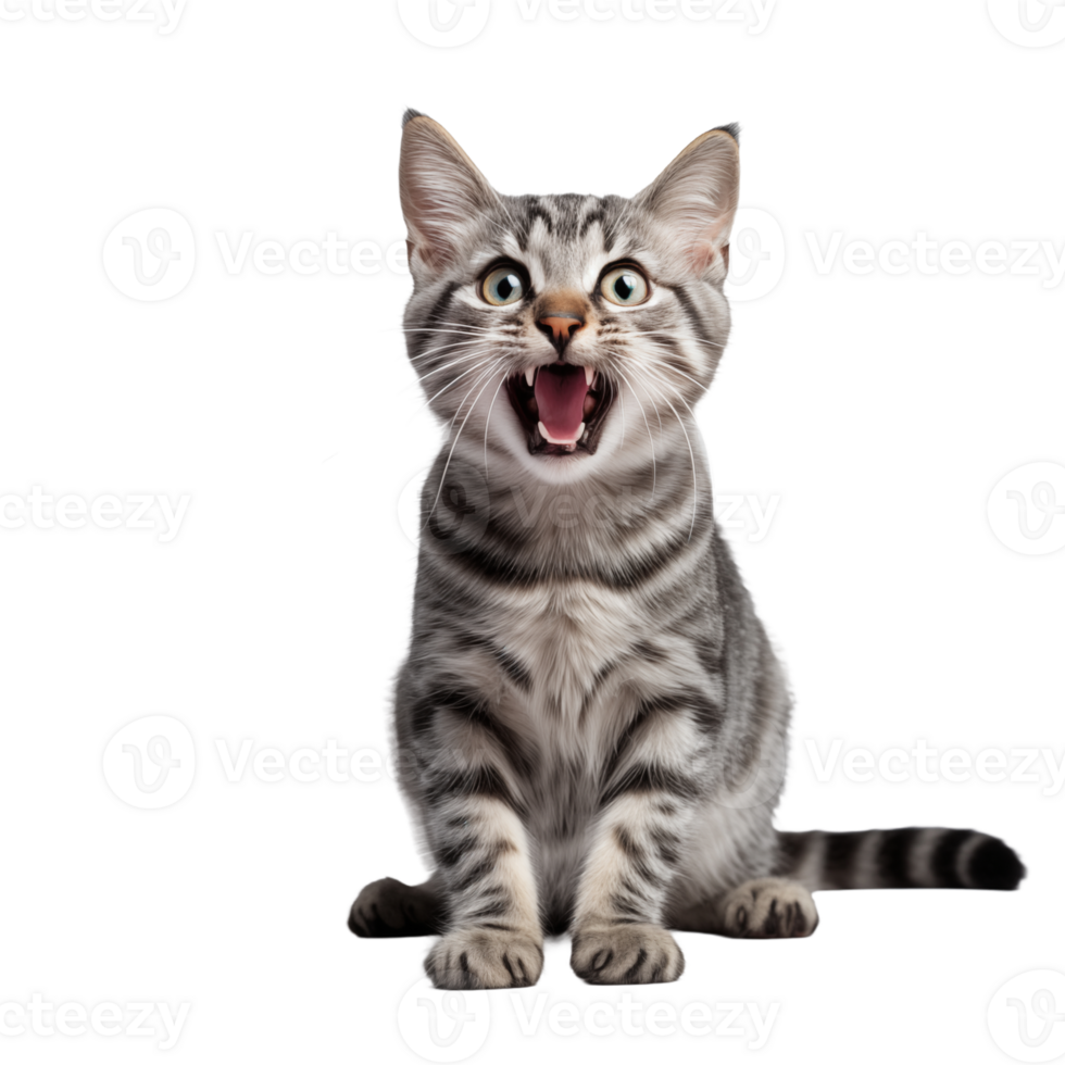 Cute playful and adroable cat transparent background AI Generative png