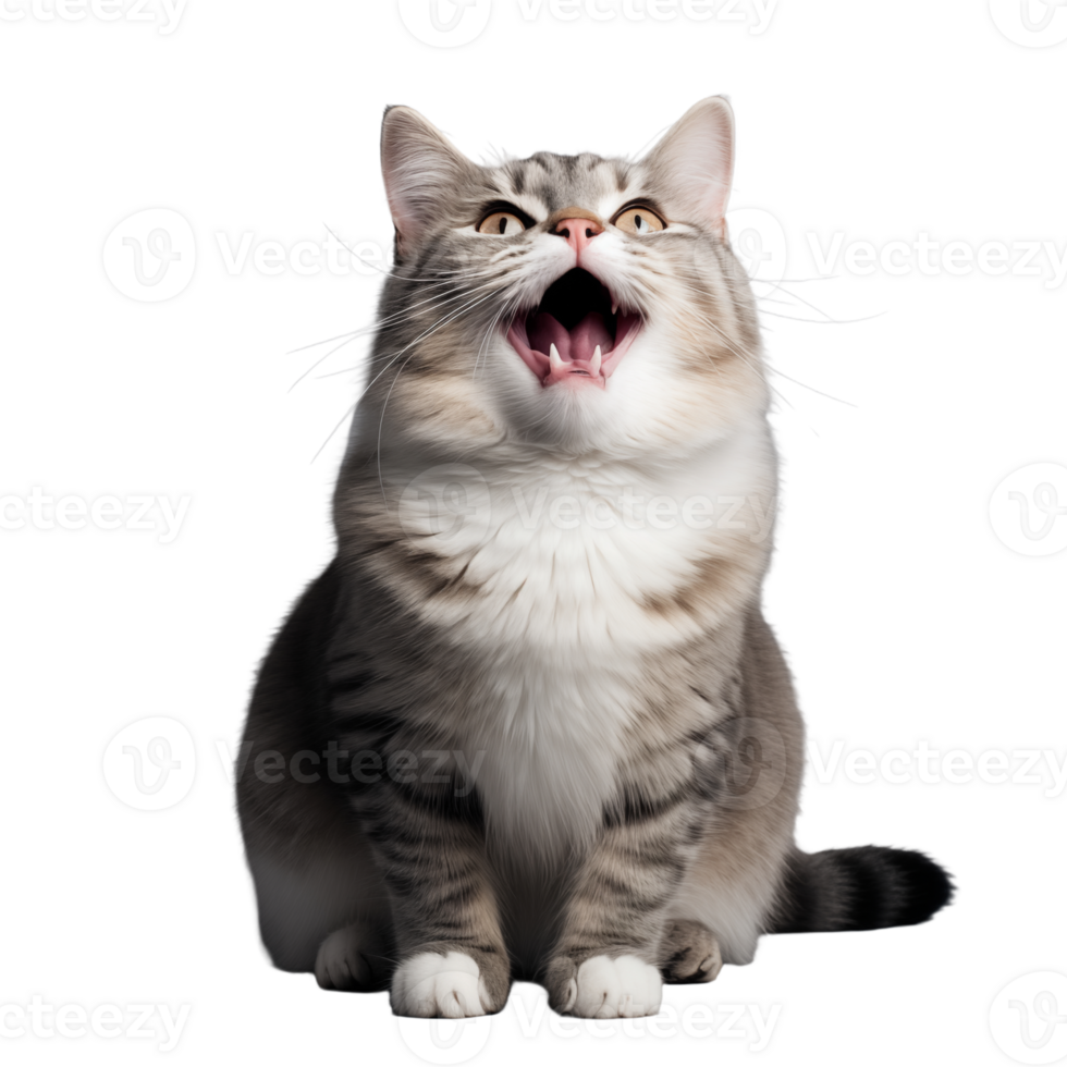 Cute playful and adroable cat transparent background AI Generative png