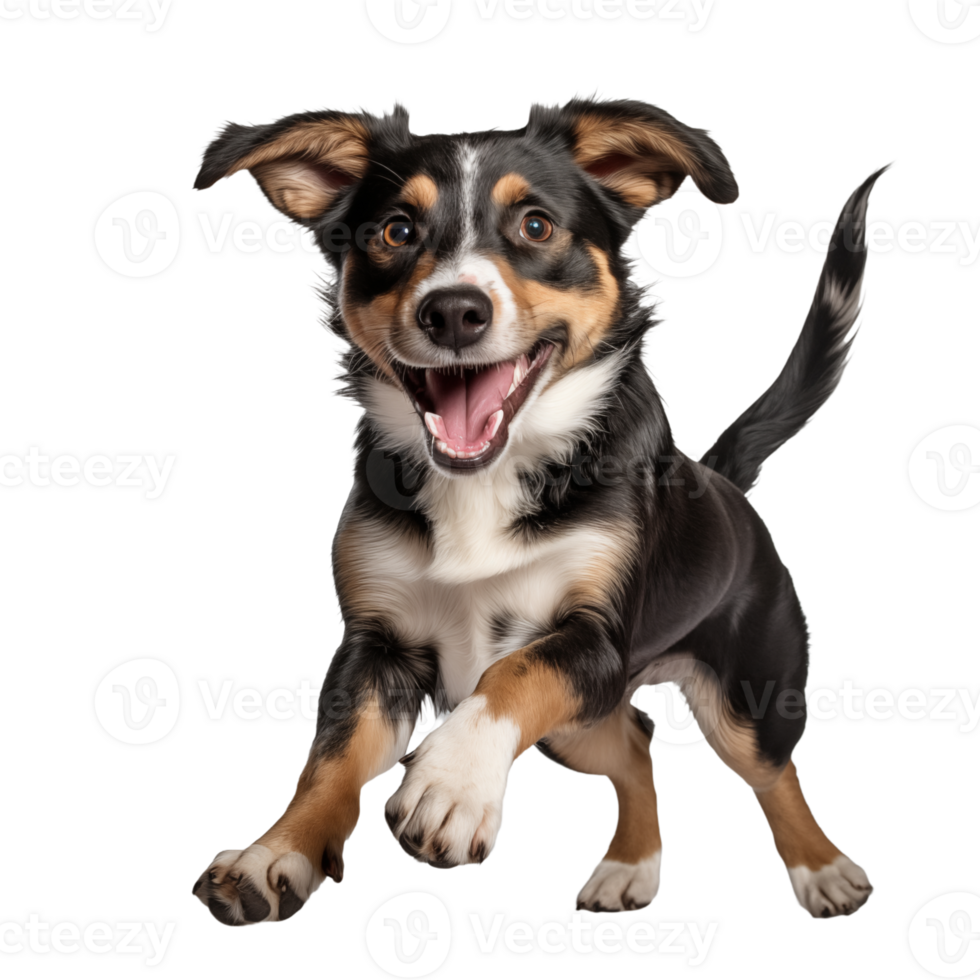 Cute playful and adroable dog transparent background AI Generative png