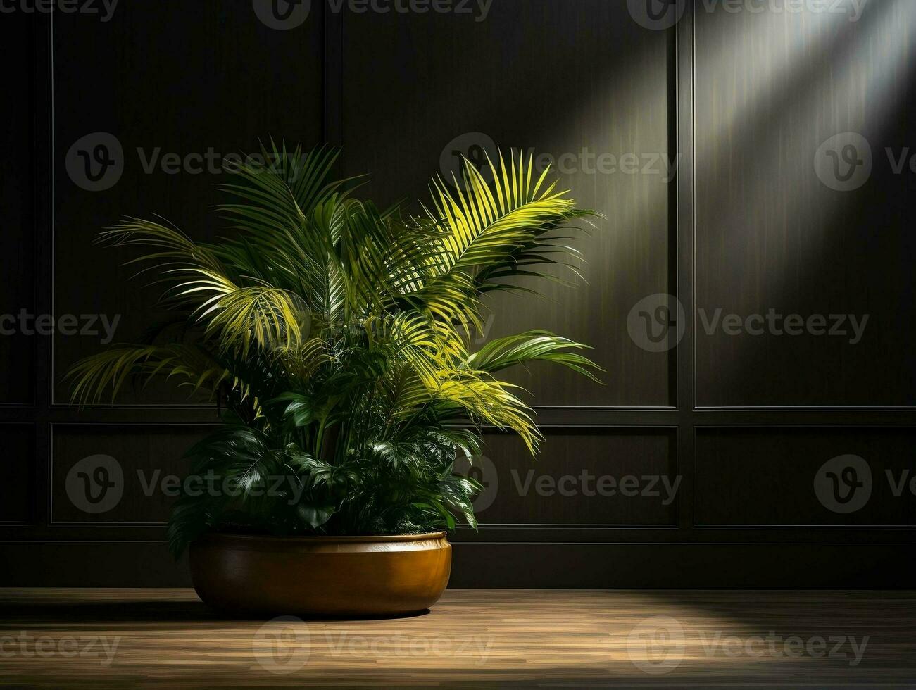 Modern empty room with a green plant in a planter AI Generative photo