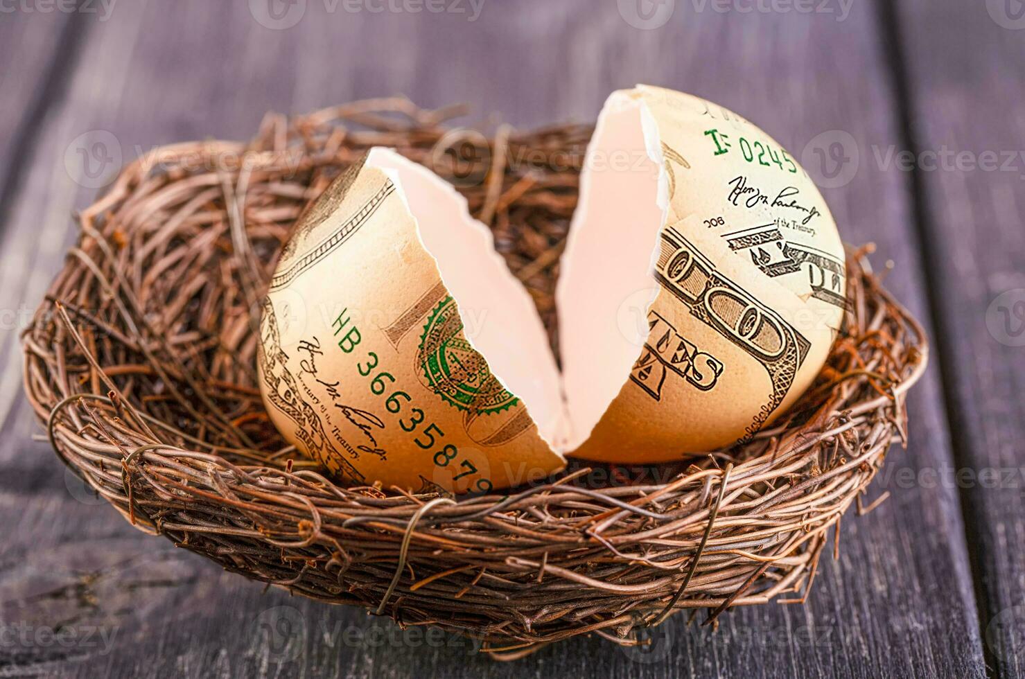 broken egg with the image of dollars in nest. Selective focus photo