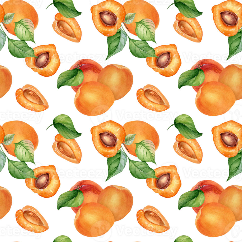 Watercolor whole and segment apricots seamless pattern. Orange fruits illustration. Peach, leaves, nectarine hand drawn. Design element for package, wrapping, textile, background. png