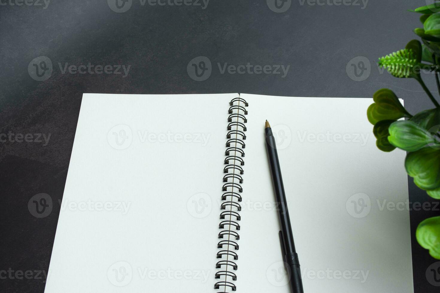 Directly above view of office desk table with pen, notepad and plant. photo