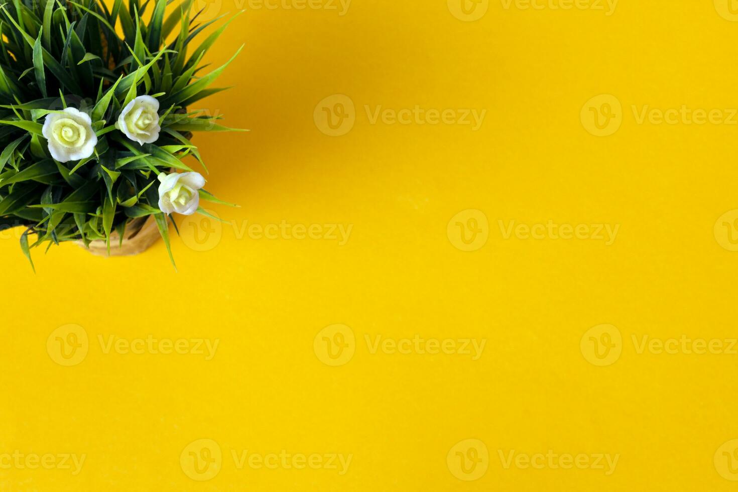 Potted plant on yellow background. Top view. Copy space. photo