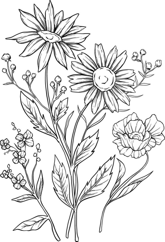 salvaje flor botánico boquet sketc ilustración vector