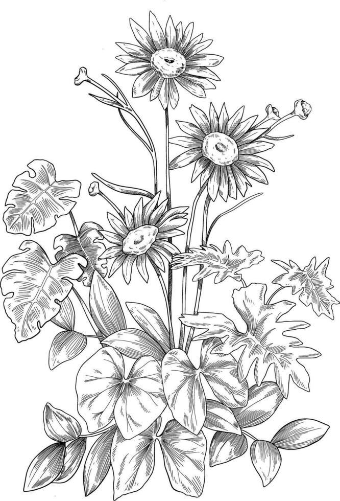 Wild flower botanical decorative sketch illsutration vector