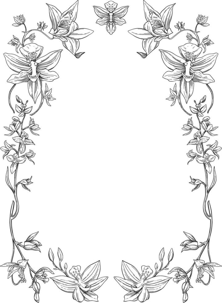 Orchid flower botanical frame and border vector