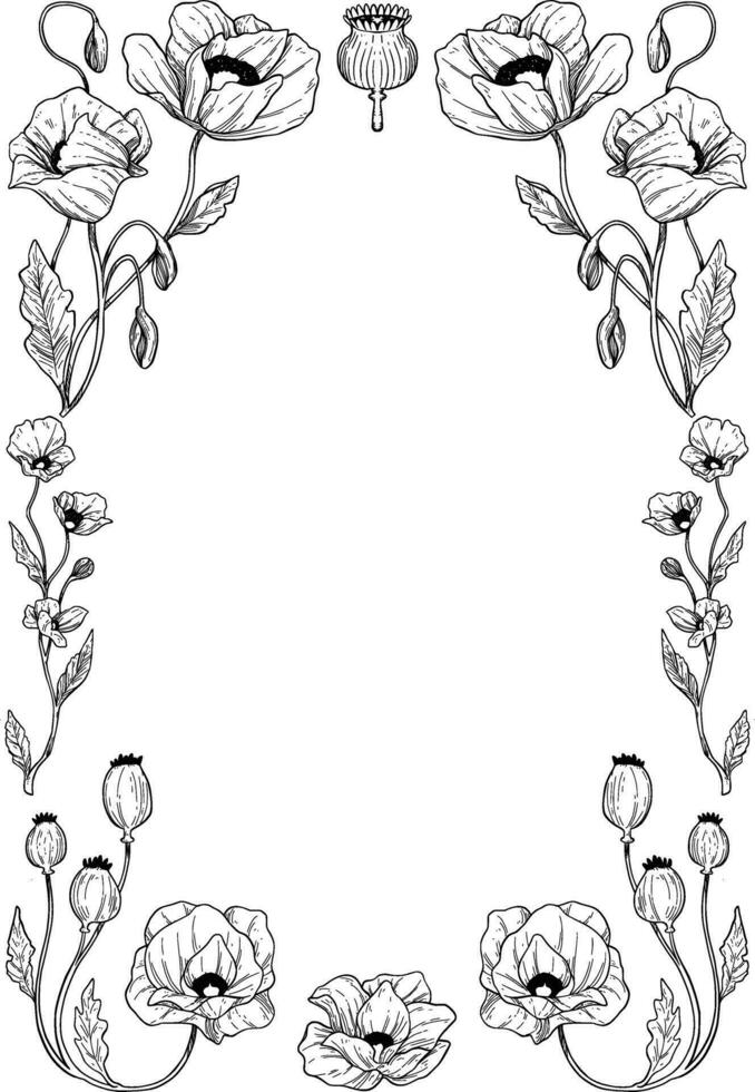 Clásico amapola flor frontera con mano dibujado ilustración vector