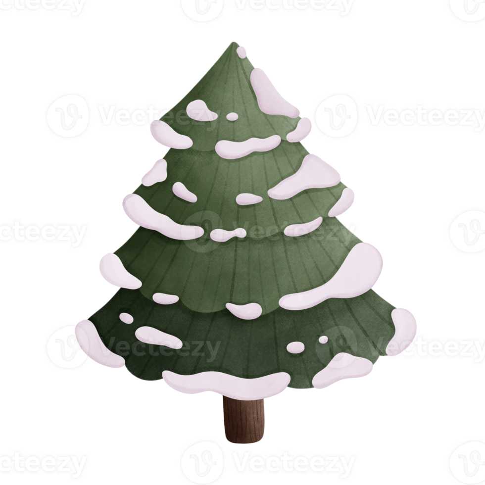 Aquarell Zeichnung von ein Weihnachten Baum und Schnee png