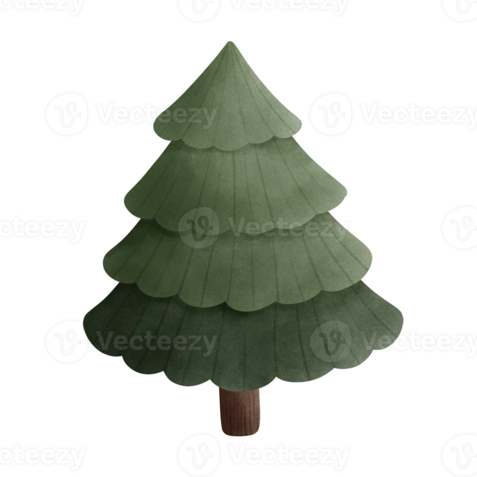 Aquarell Zeichnung von ein Weihnachten Baum png