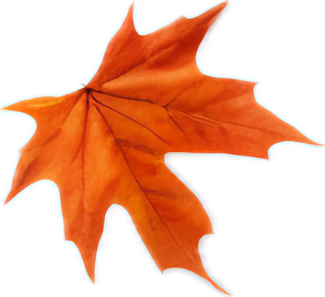 Maple leaf png with AI generated.