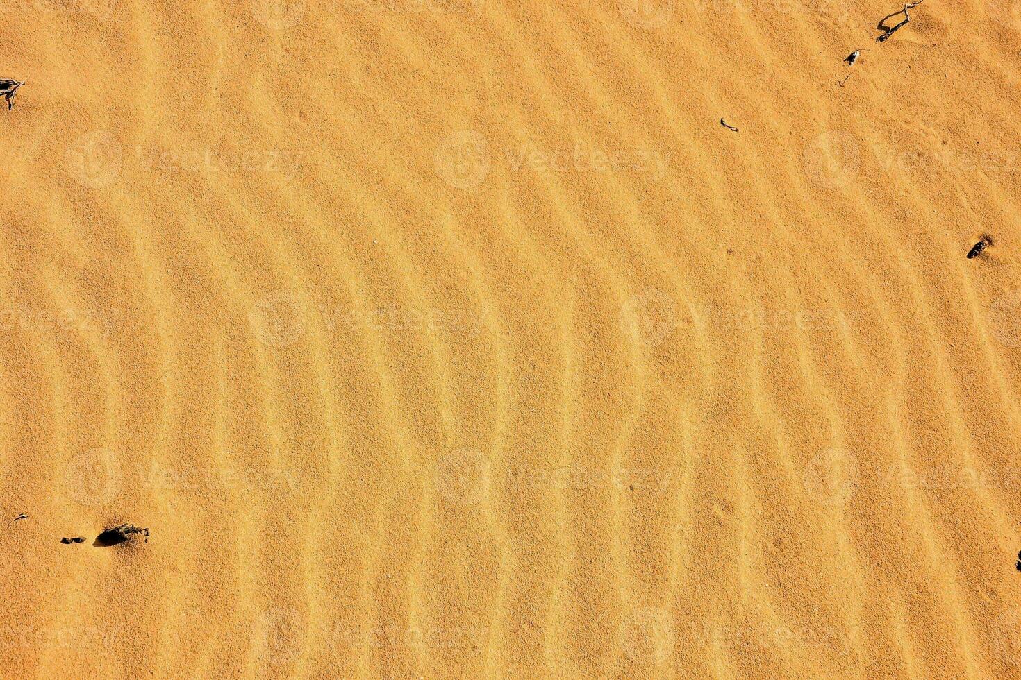 a bird flying in the desert with sand in the background photo