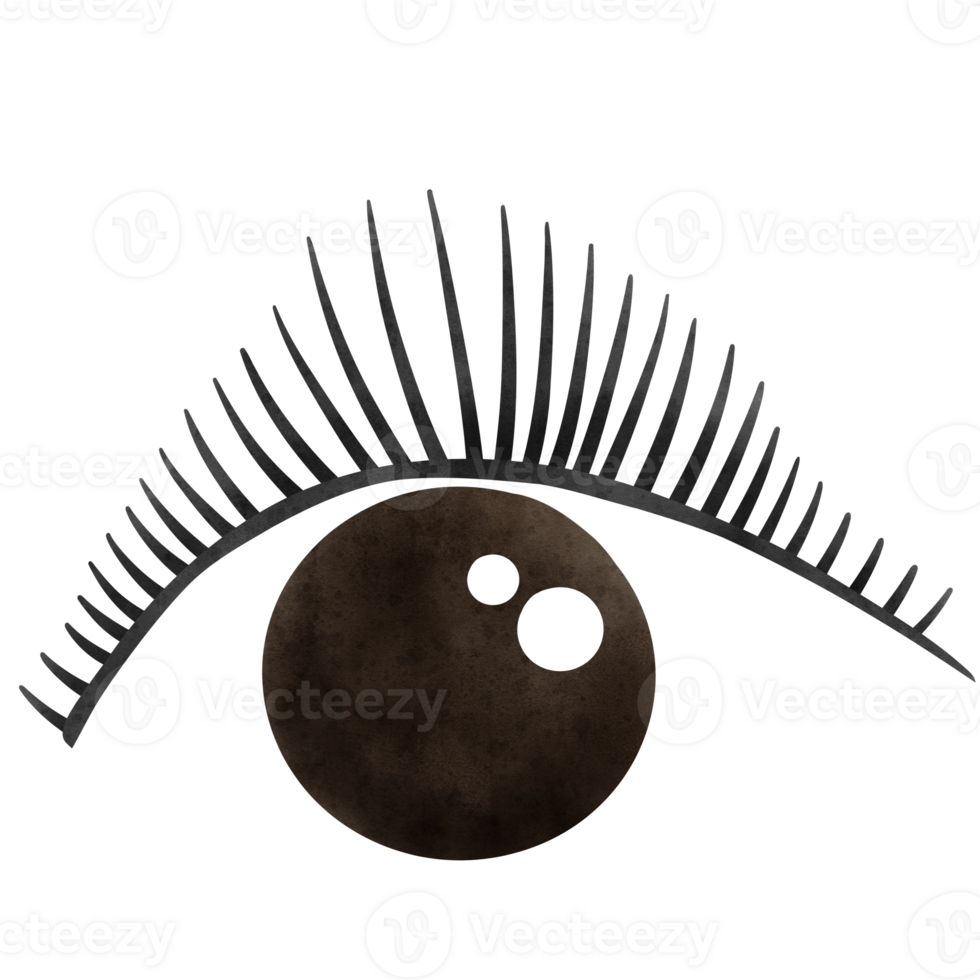 Eyelash, Lash extension, Lashes png