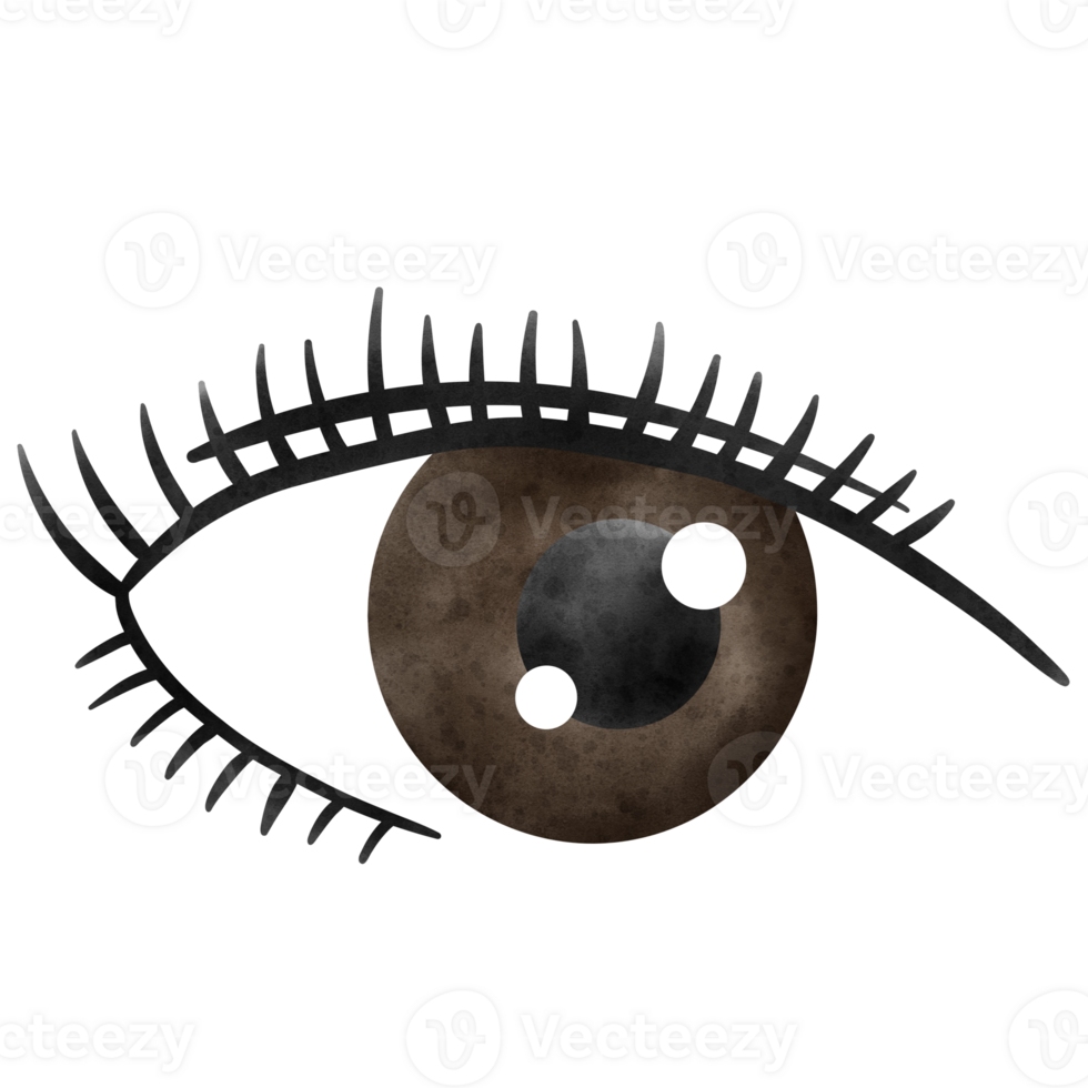 Eyelash, Lash extension, Lashes png