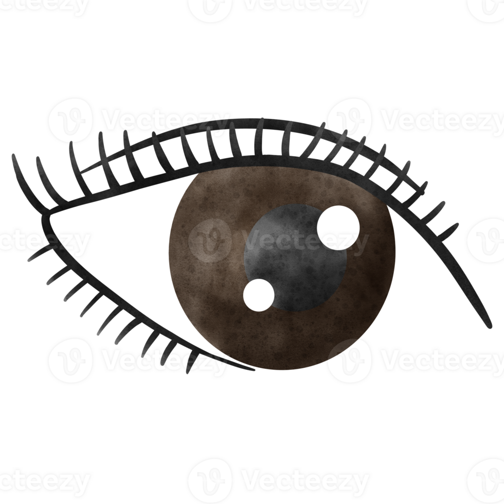 Eyelash, Lash extension, Lashes png