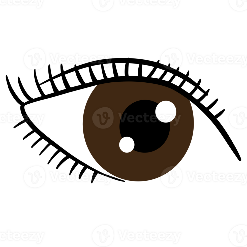 Eyelash, Lash extension, Lashes png