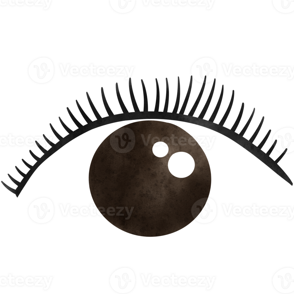 Eyelash, Lash extension, Lashes png