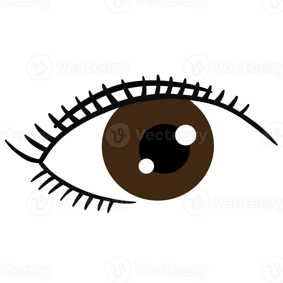 Eyelash, Lash extension, Lashes png