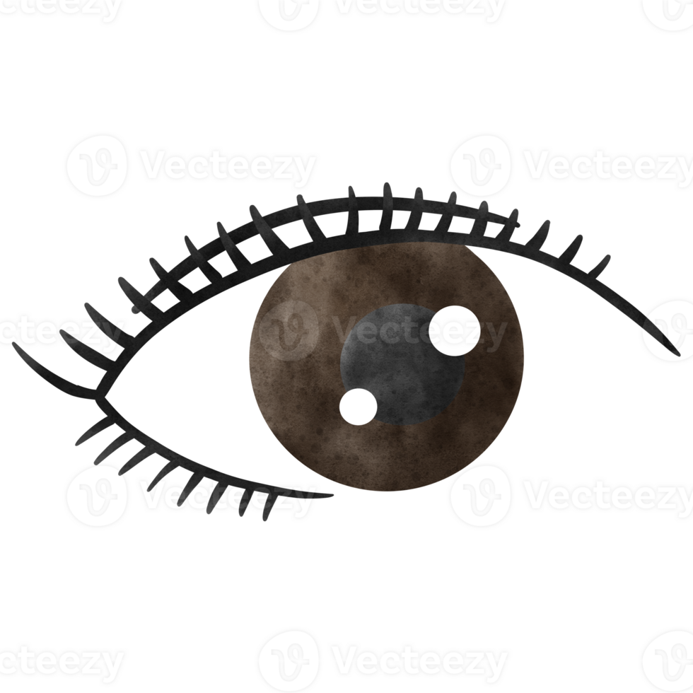 Eyelash, Lash extension, Lashes png