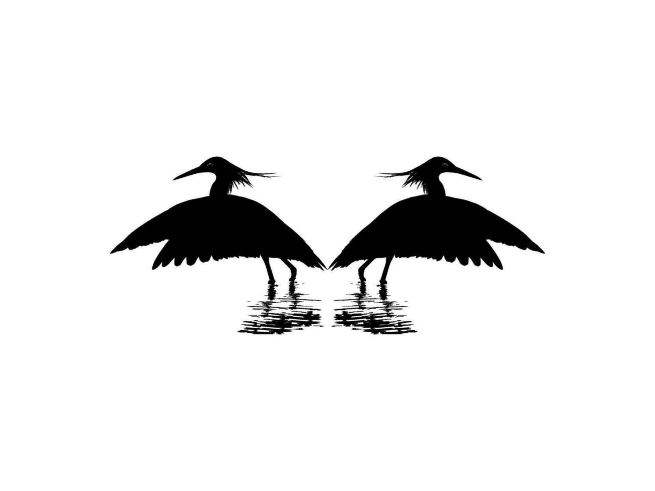 Pair of The Black Heron Bird, Egretta Ardesiaca, also known as the Black Egret Silhouette for Art Illustration, Logo, Pictogram, Website, or Graphic Design Element. Vector Illustration