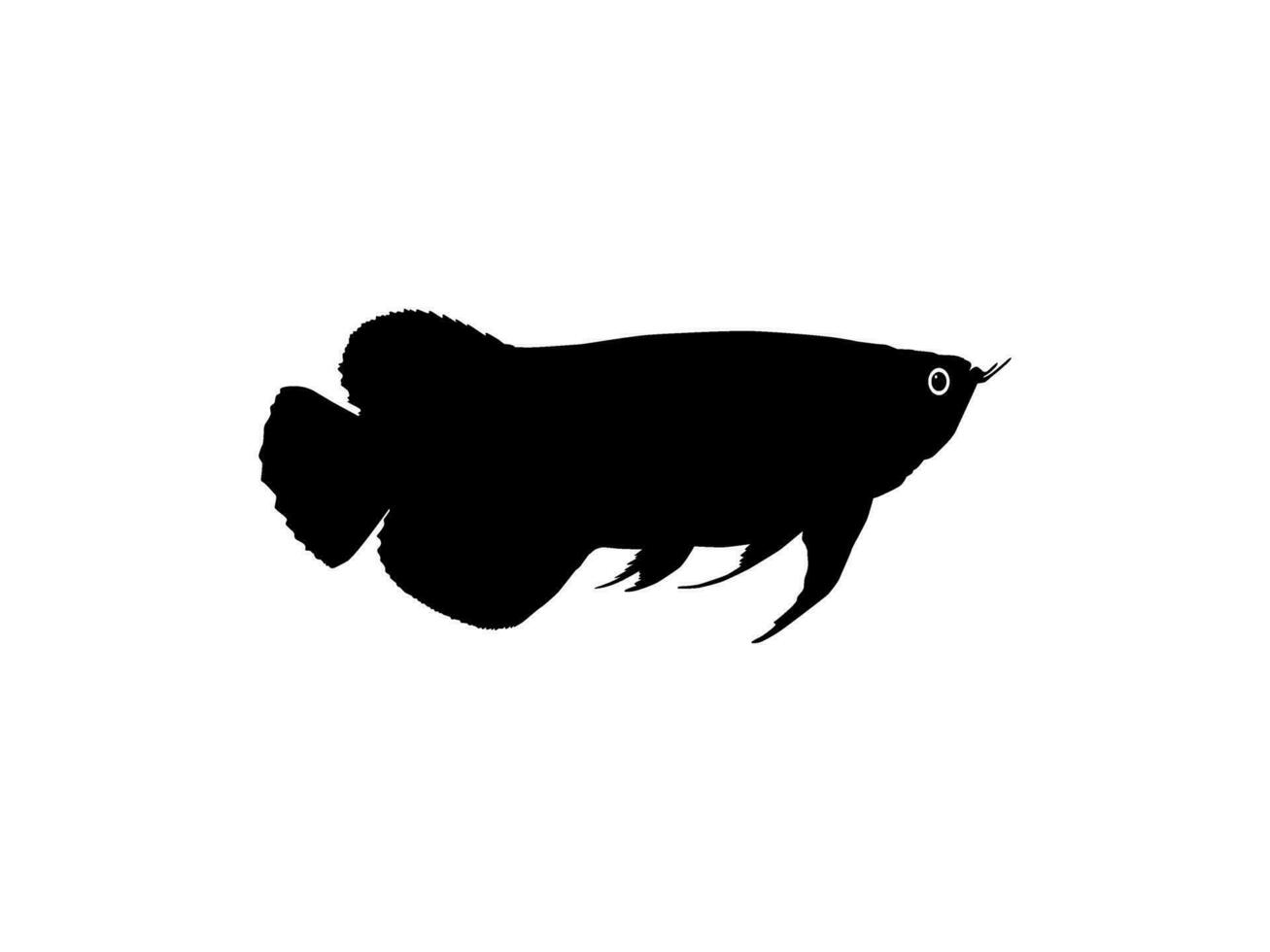 Silhouette of the Arowana or Arwana also known as Dragon Fish, for Art Illustration, Logo Type, Pictogram, Website or Graphic Design Element. Vector Illustration