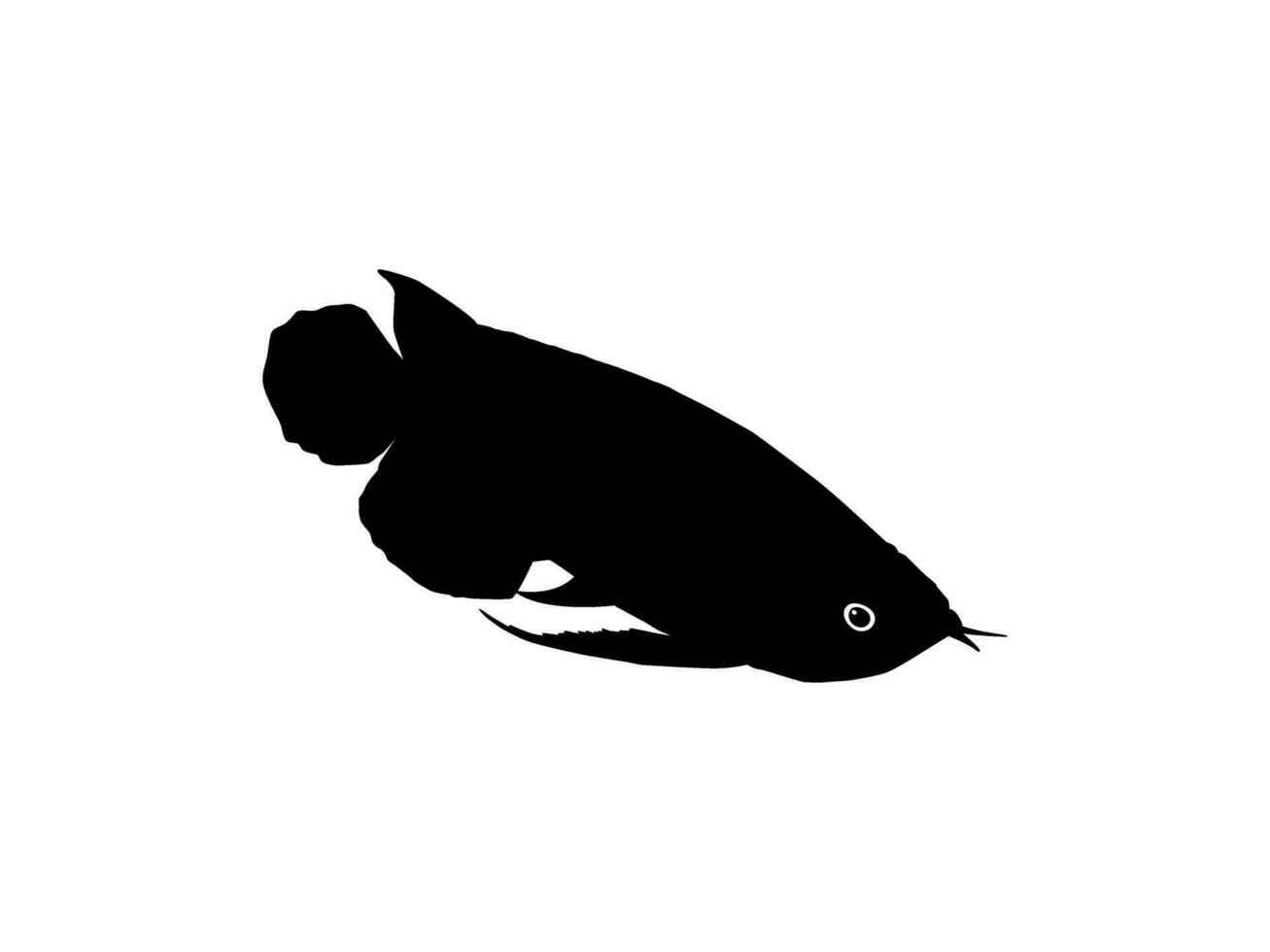 Silhouette of the Arowana or Arwana also known as Dragon Fish, for Art Illustration, Logo Type, Pictogram, Website or Graphic Design Element. Vector Illustration