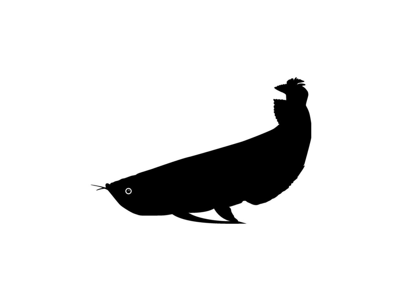 Silhouette of the Arowana or Arwana also known as Dragon Fish, for Art Illustration, Logo Type, Pictogram, Website or Graphic Design Element. Vector Illustration