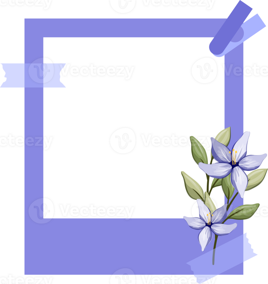 Blue Photo Frame with Floral Minimalist Style png
