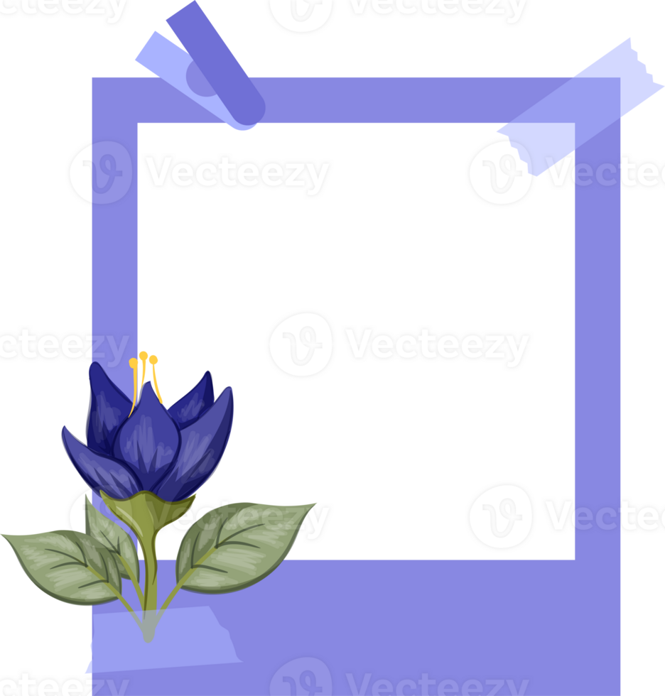 blauw foto kader met bloemen minimalistische stijl png