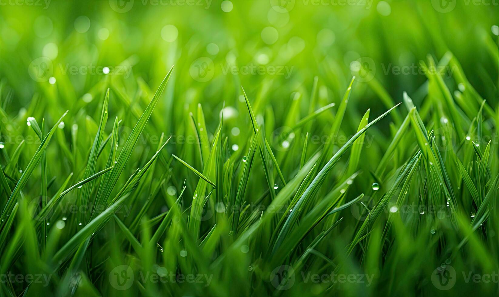 Close-up view of dense vibrant green grass. AI generative. photo