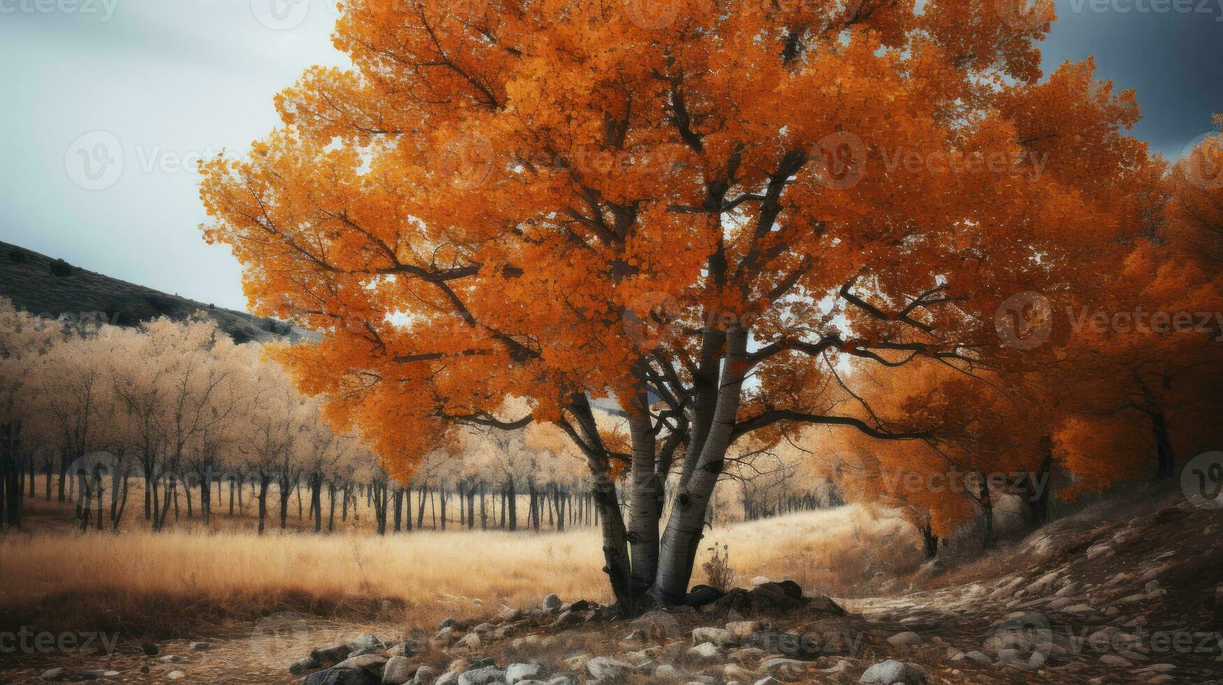 Chromatic Brilliance. A Tree's Autumnal Glow. Generative AI photo