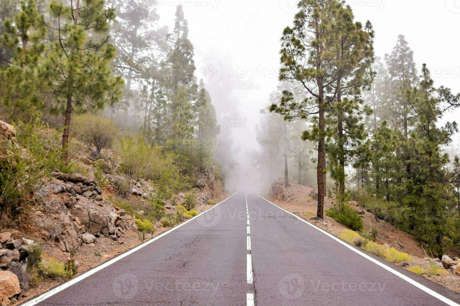 un la carretera en el niebla foto