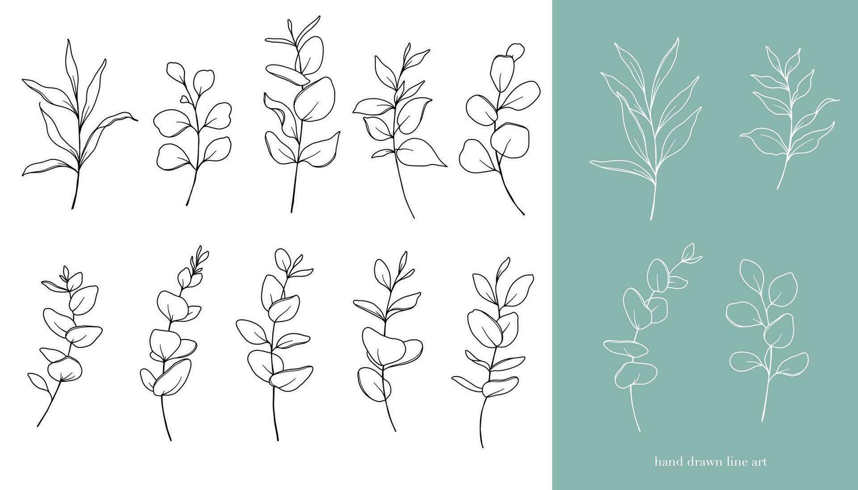 Eucalyptus Line Art. Floral Frames and Bouquets Line Art. Fine Line Eucalyptus Frames Hand Drawn Illustration. Hand Draw Outline Leaves and Flowers. Botanical Coloring Page. Eucalyptus Isolated vector