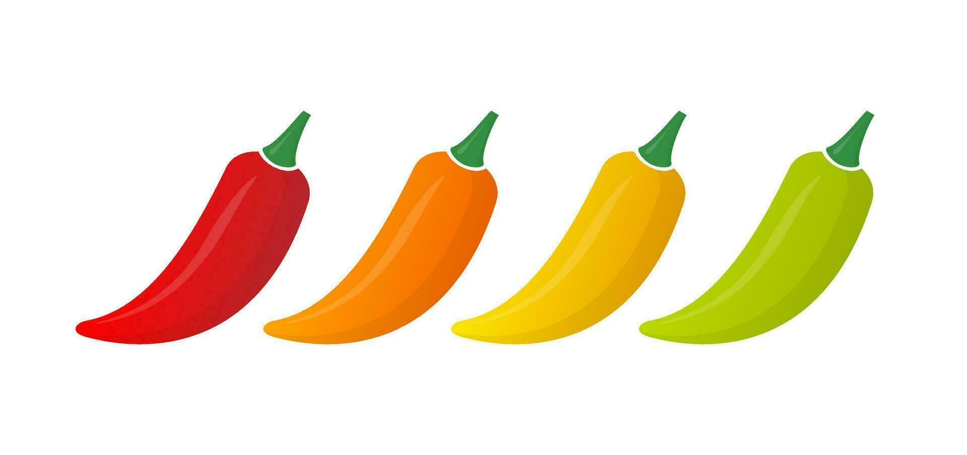 Different levels of peppercorns on a white background. Hot peppers. Vector illustration.