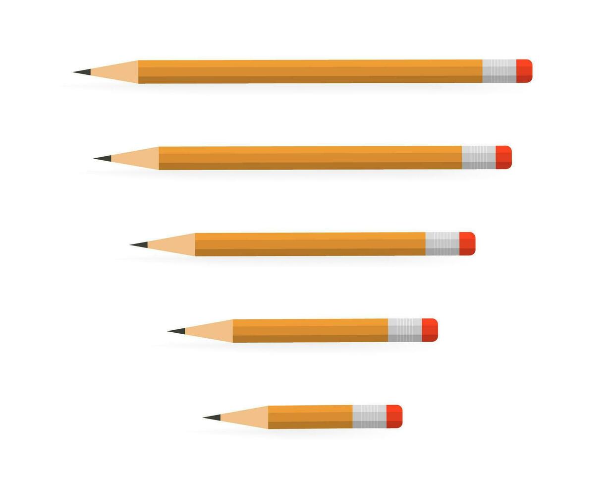 Lead pencils various length on white background. vector