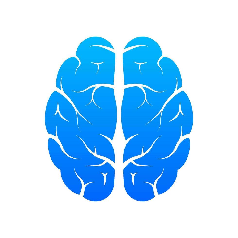 Human brain medical. Internal organ. Neural network. Brainstorming, idea. vector