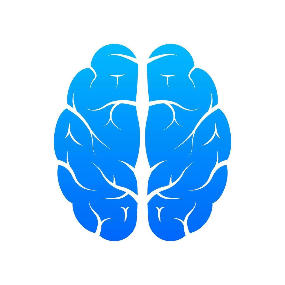 Human brain medical. Internal organ. Neural network. Brainstorming, idea. vector